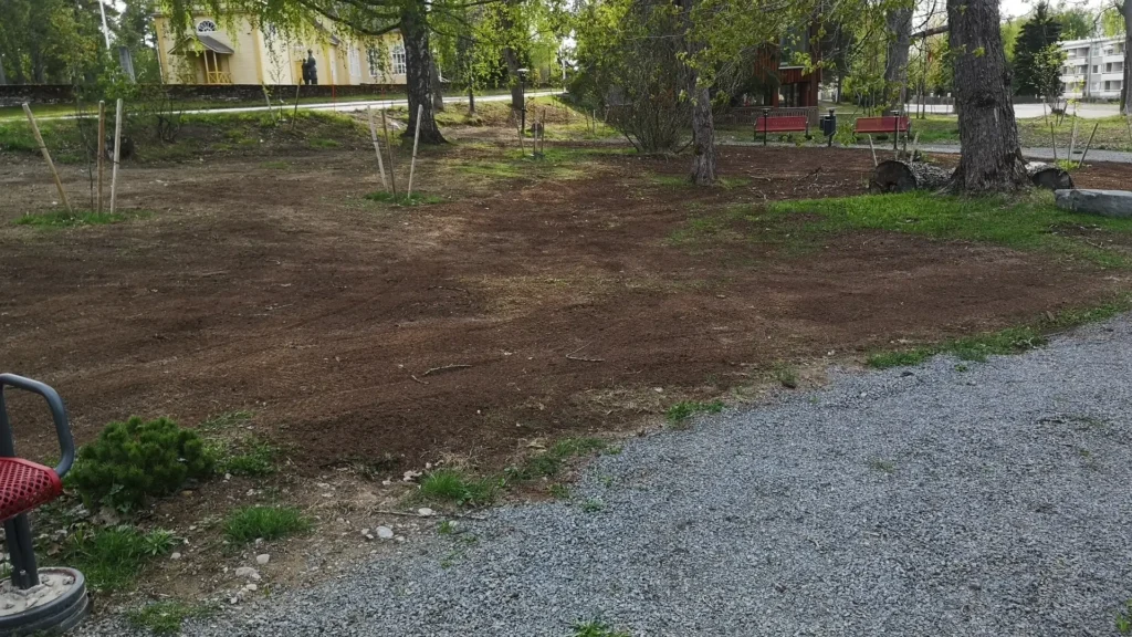 Puistoalueen nurmikoiden jyrsinta ja uudelleenkylvo pihtipudas